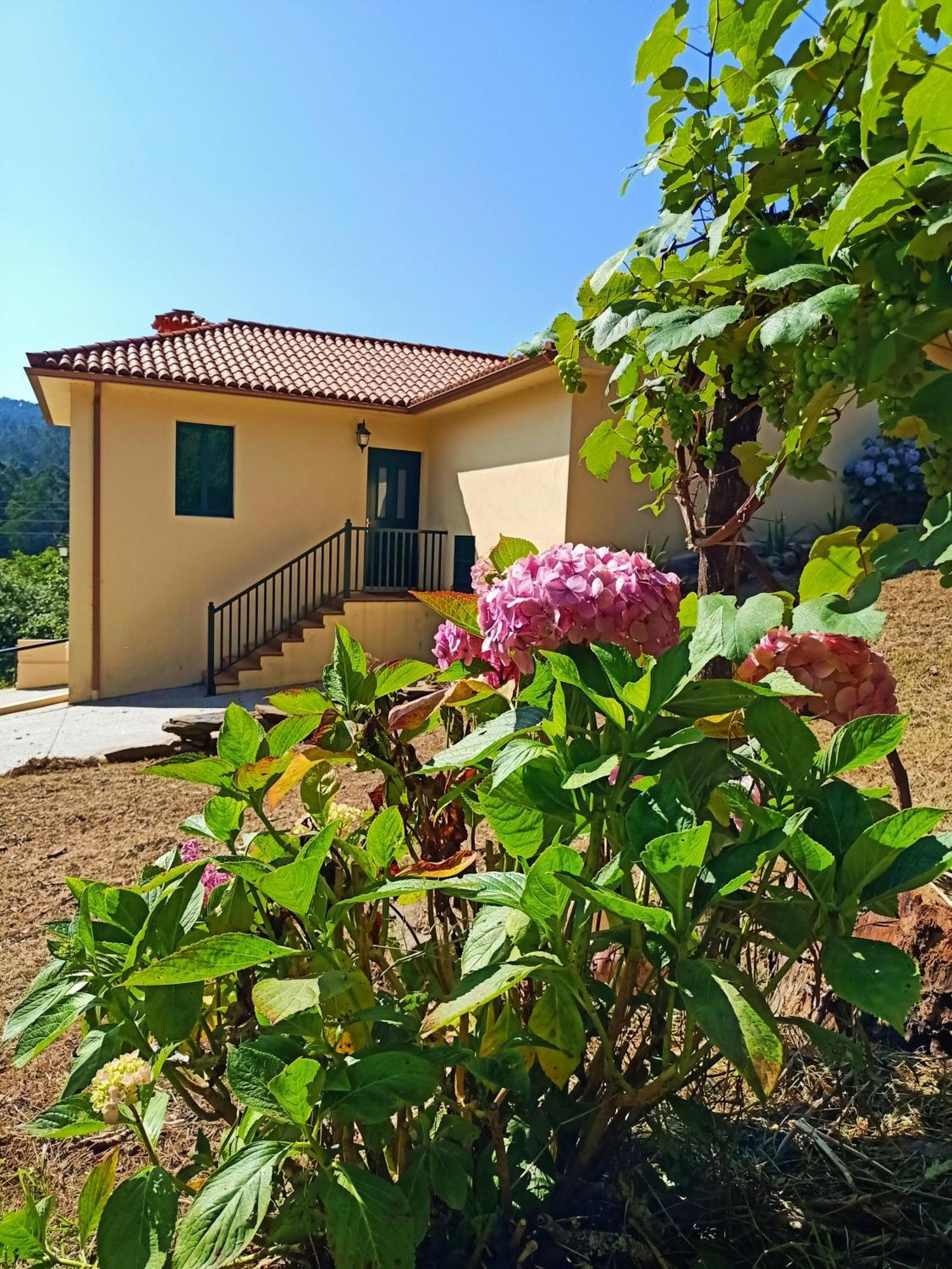 A Casa Do Porto Cerca De Cedeira Y De La Playa De Pantin Villa Valdoviño Exteriör bild